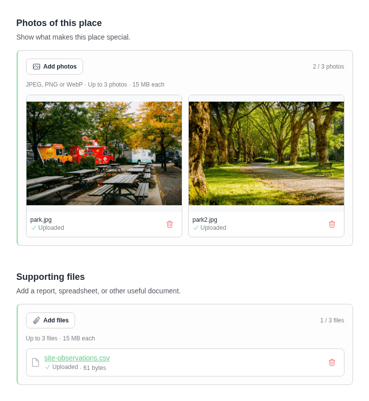 Photo and File questions with two uploaded photo previews, a supporting spreadsheet, and buttons to add more attachments